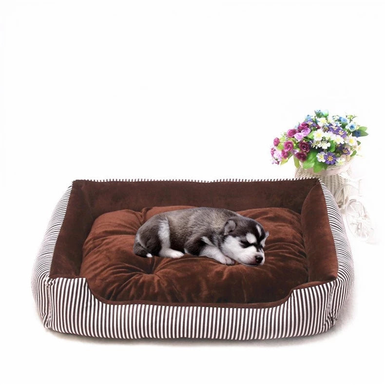 DOG BED BROWNIE